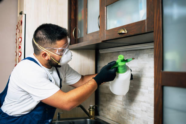 Best Insect Control  in Silver City, NM