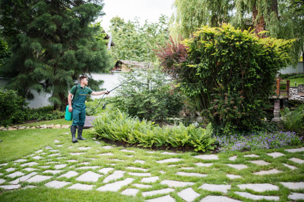 Best Affordable Pest Control Services  in Silver City, NM