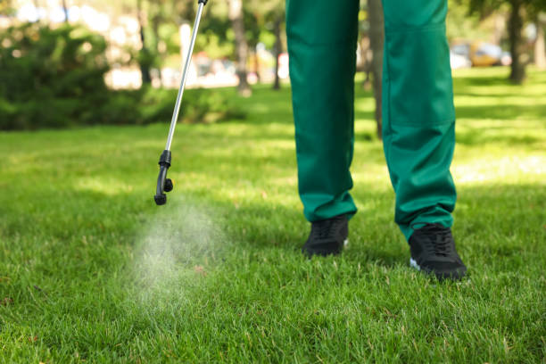 Best Termite Control Services  in Silver City, NM