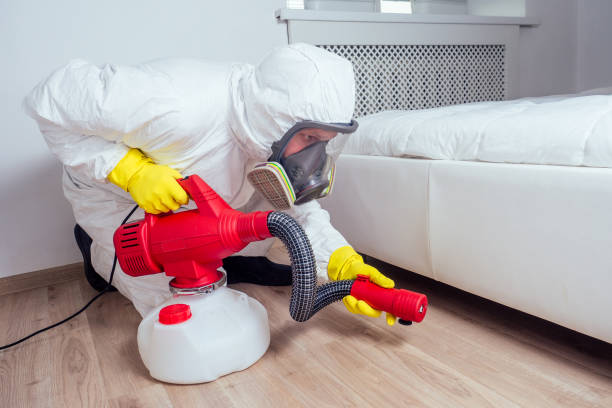 Best Bed Bug Extermination  in Silver City, NM