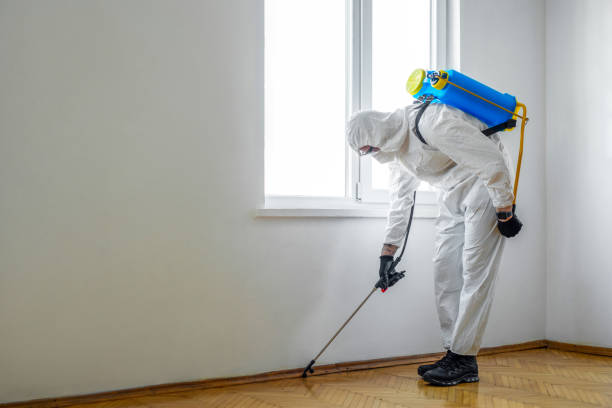 Best Pest Inspection Near Me  in Silver City, NM