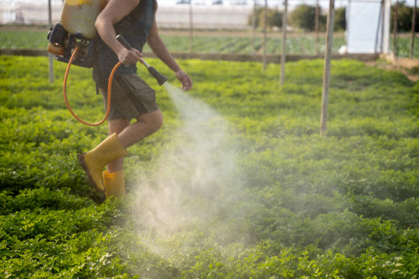  Silver City, NM Pest Control Pros