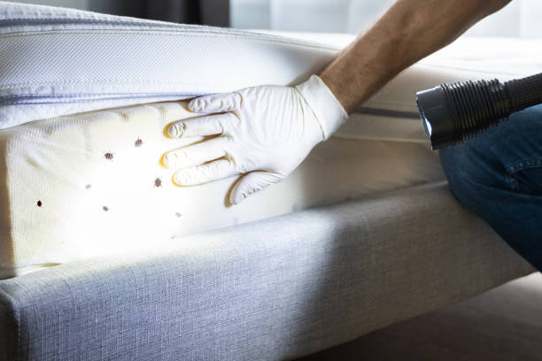 Pest Control Cost in Silver City, NM