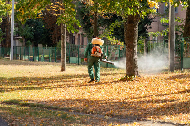 Best Insect Control  in Silver City, NM