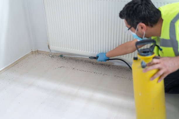 Best Best Pest Control Companies  in Silver City, NM