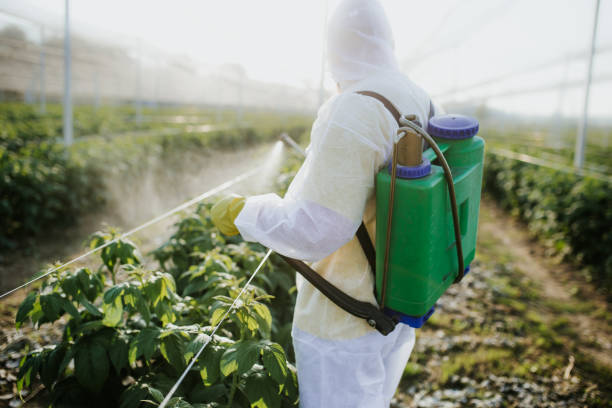 Professional Pest Control in Silver City, NM